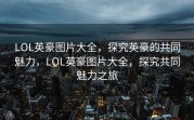 LOL英豪图片大全，探究英豪的共同魅力，LOL英豪图片大全，探究共同魅力之旅