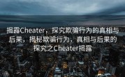 揭露Cheater，探究欺骗行为的真相与后果，揭秘欺骗行为，真相与后果的探究之Cheater揭露