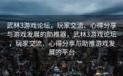 武林3游戏论坛，玩家交流、心得分享与游戏发展的助推器，武林3游戏论坛，玩家交流、心得分享与助推游戏发展的平台