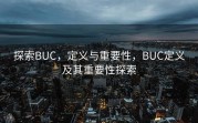 探索BUC，定义与重要性，BUC定义及其重要性探索