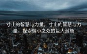 寸止的智慧与力量，寸止的智慧与力量，探索微小之处的巨大潜能