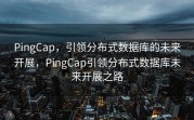 PingCap，引领分布式数据库的未来开展，PingCap引领分布式数据库未来开展之路