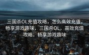 三国杀OL充值攻略，怎么高效充值，畅享游戏趣味，三国杀OL，高效充值攻略，畅享游戏趣味