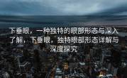 下垂眼，一种独特的眼部形态与深入了解，下垂眼，独特眼部形态详解与深度探究