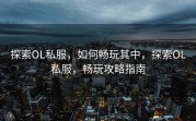 探索OL私服，如何畅玩其中，探索OL私服，畅玩攻略指南