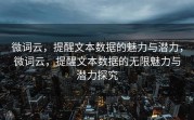 微词云，提醒文本数据的魅力与潜力，微词云，提醒文本数据的无限魅力与潜力探究