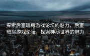 探索后室暗房游戏论坛的魅力，后室暗房游戏论坛，探索神秘世界的魅力