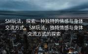 SM玩法，探索一种独特的情感与身体交流方式，SM玩法，独特情感与身体交流方式的探索