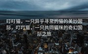 叮叮猫，一只异乎寻常的猫的美妙国际，叮叮猫，一只共同猫咪的奇幻国际之旅