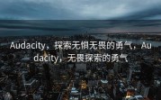 Audacity，探索无惧无畏的勇气，Audacity，无畏探索的勇气