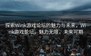 探索Wink游戏论坛的魅力与未来，Wink游戏论坛，魅力无限，未来可期