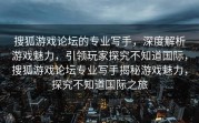 搜狐游戏论坛的专业写手，深度解析游戏魅力，引领玩家探究不知道国际，搜狐游戏论坛专业写手揭秘游戏魅力，探究不知道国际之旅