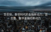 豆豆钱，数字时代的金融新动力，豆豆钱，数字金融的新动力
