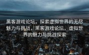黑客游戏论坛，探索虚拟世界的无尽魅力与挑战，黑客游戏论坛，虚拟世界的魅力与挑战探索