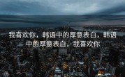 我喜欢你，韩语中的厚意表白，韩语中的厚意表白，我喜欢你