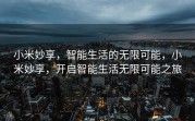 小米妙享，智能生活的无限可能，小米妙享，开启智能生活无限可能之旅