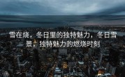 雪在烧，冬日里的独特魅力，冬日雪景，独特魅力的燃烧时刻