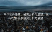 东华软件股票，投资分析与展望，东华软件股票投资分析与展望