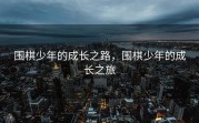 围棋少年的成长之路，围棋少年的成长之旅