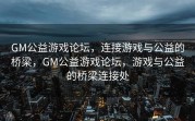GM公益游戏论坛，连接游戏与公益的桥梁，GM公益游戏论坛，游戏与公益的桥梁连接处