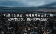 PV是什么意思，揭开其神秘面纱，揭秘PV的含义，揭开其神秘面纱