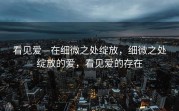 看见爱—在细微之处绽放，细微之处绽放的爱，看见爱的存在