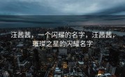 汪茜茜，一个闪耀的名字，汪茜茜，璀璨之星的闪耀名字