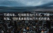 万顺叫车，引领新型出行方式，万顺叫车，引领未来新型出行方式的首选
