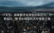 IT天空，探索数字化转型的新纪元，IT新纪元，数字化转型的天空探索之旅