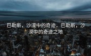巴勒斯，沙漠中的奇迹，巴勒斯，沙漠中的奇迹之地
