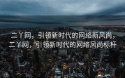 二丫网，引领新时代的网络新风尚，二丫网，引领新时代的网络风尚标杆
