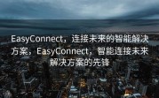 EasyConnect，连接未来的智能解决方案，EasyConnect，智能连接未来解决方案的先锋