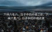 六块六毛六，日子中的纤细之处，六块六毛六，日子中的纤细点滴