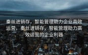 秦丝进销存，智能管理助力企业高效运营，秦丝进销存，智能管理助力高效运营的企业利器