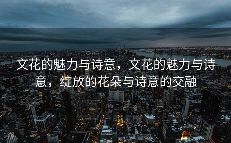文花的魅力与诗意,文花的魅力与诗意,绽放的花朵与诗意的交融 文花的魅力与诗意,文花的魅力与诗意,绽放的花朵与诗意的交融