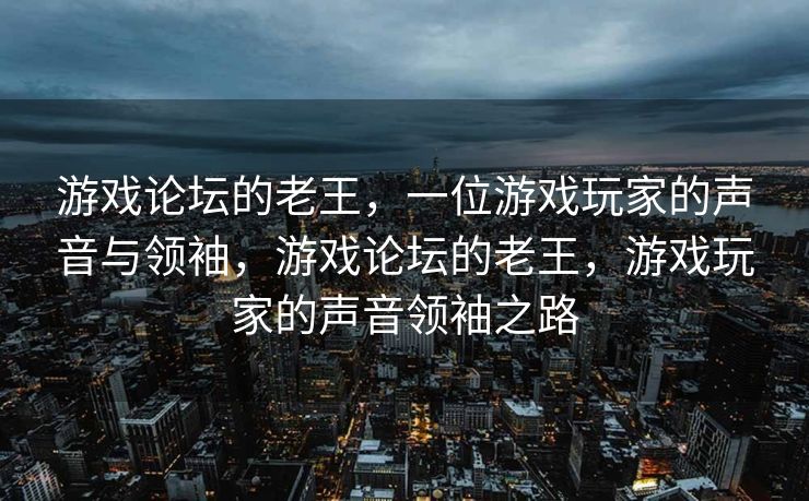游戏论坛的老王，一位游戏玩家的声音与领袖，游戏论坛的老王，游戏玩家的声音领袖之路
