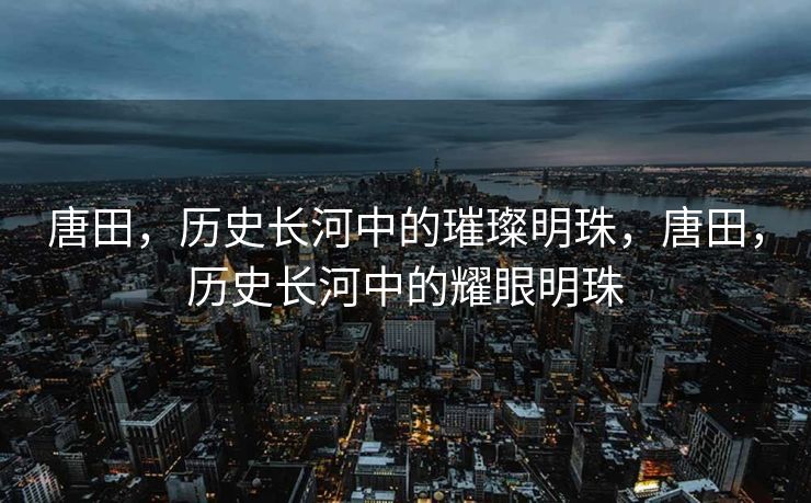 唐田，历史长河中的璀璨明珠，唐田，历史长河中的耀眼明珠