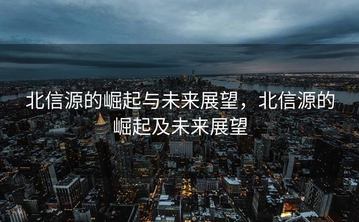 北信源的崛起与未来展望，北信源的崛起及未来展望