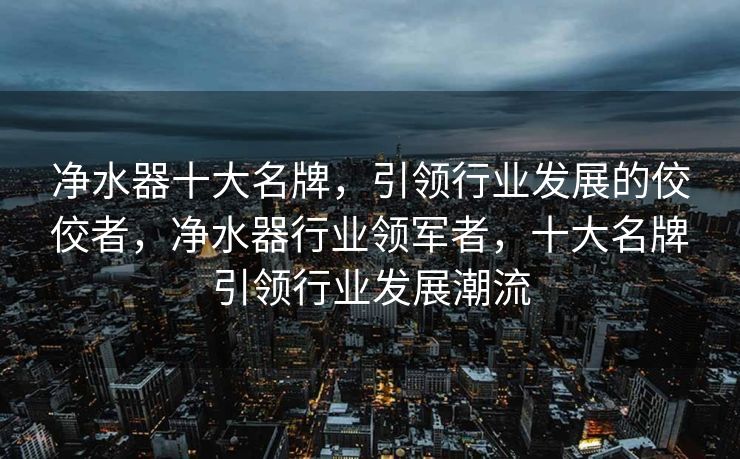 净水器十大名牌,引领行业发展的佼佼者,净水器行业领军者,十大名牌引领行业发展潮流 净水器十大名牌,引领行业发展的佼佼者,净水器行业领军者,十大名牌引领行业发展潮流