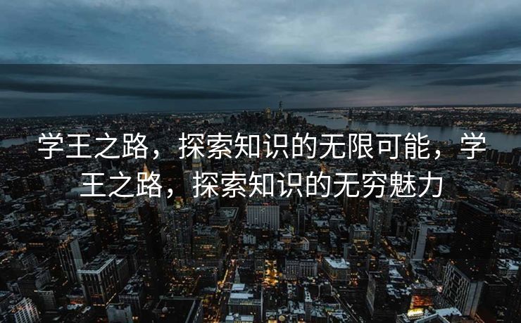 学王之路，探索知识的无限可能，学王之路，探索知识的无穷魅力
