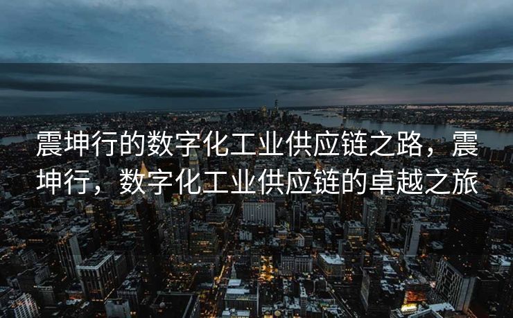 震坤行的数字化工业供应链之路，震坤行，数字化工业供应链的卓越之旅