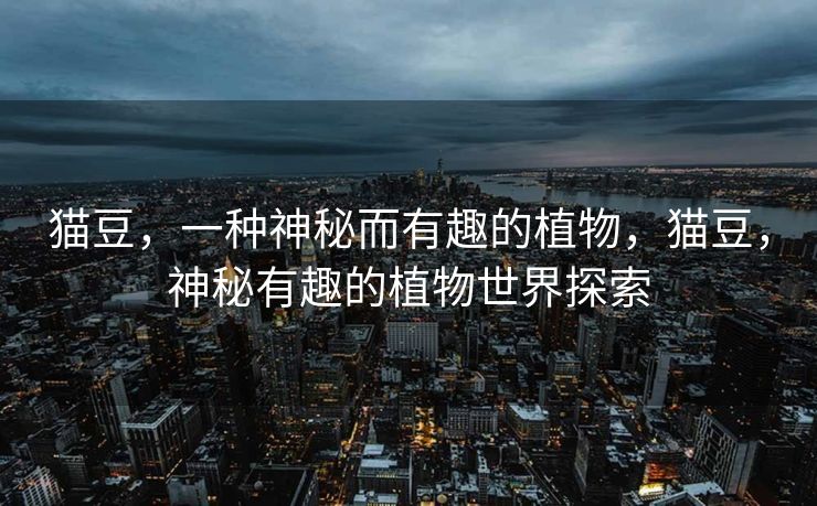 猫豆，一种神秘而有趣的植物，猫豆，神秘有趣的植物世界探索