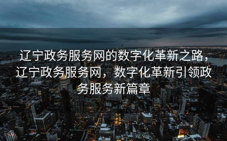 辽宁政务服务网的数字化革新之路，辽宁政务服务网，数字化革新引领政务服务新篇章