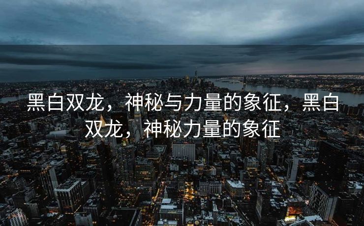 黑白双龙,神秘与力量的象征,黑白双龙,神秘力量的象征 黑白双龙,神秘与力量的象征,黑白双龙,神秘力量的象征
