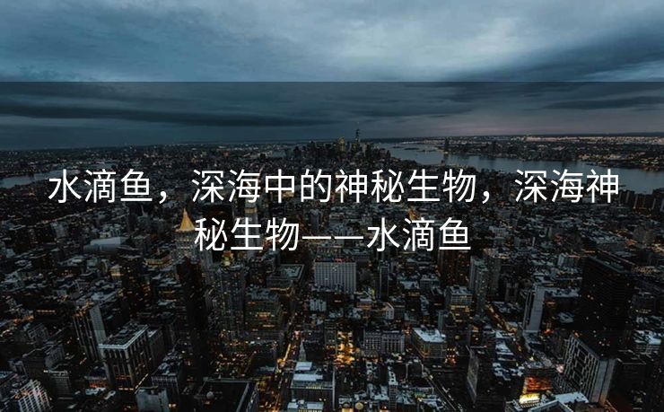 水滴鱼，深海中的神秘生物，深海神秘生物——水滴鱼