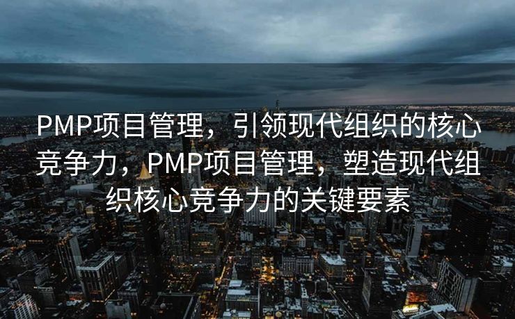 PMP项目管理，引领现代组织的核心竞争力，PMP项目管理，塑造现代组织核心竞争力的关键要素
