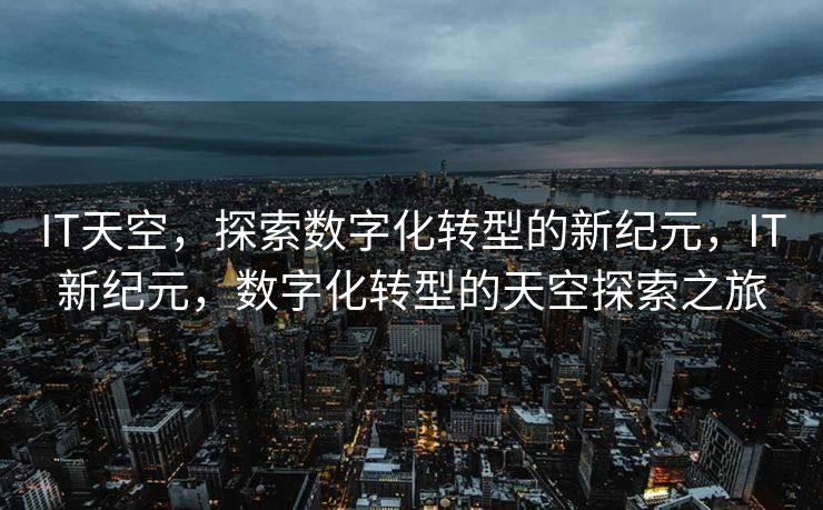 IT天空，探索数字化转型的新纪元，IT新纪元，数字化转型的天空探索之旅