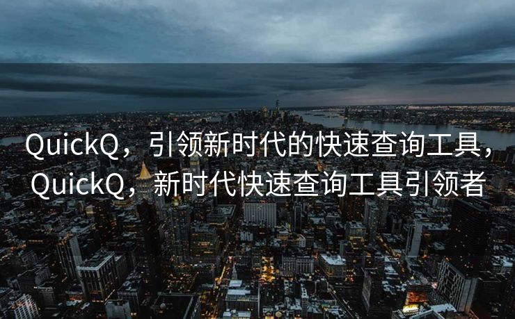 QuickQ，引领新时代的快速查询工具，QuickQ，新时代快速查询工具引领者