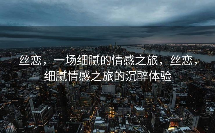 丝恋，一场细腻的情感之旅，丝恋，细腻情感之旅的沉醉体验