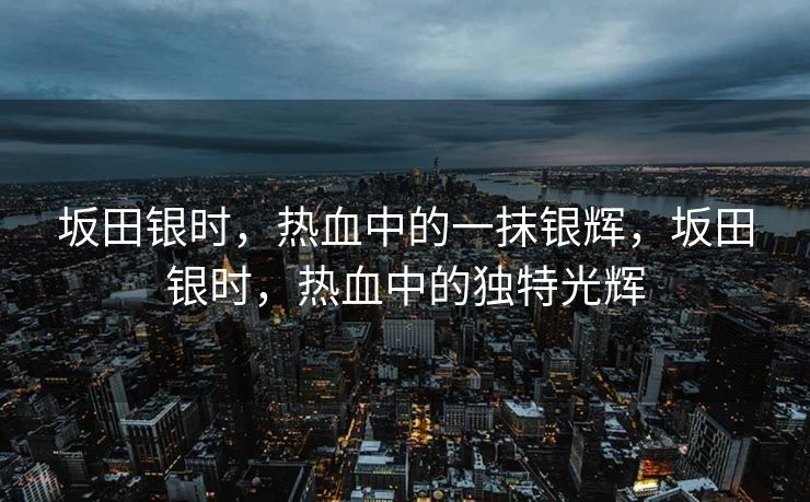 坂田银时,热血中的一抹银辉,坂田银时,热血中的独特光辉 坂田银时,热血中的一抹银辉,坂田银时,热血中的独特光辉